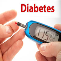 明日葉查爾酮對2型糖尿病防護作用的研究進展