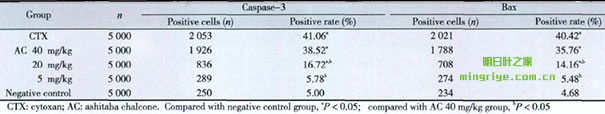 表1明日葉查爾酮對小鼠H22肝癌細胞Caspase-3和Bax蛋白表達的影響