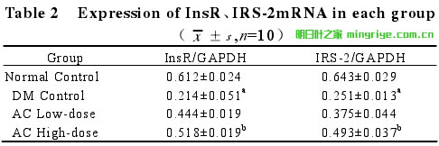 表2 InsR和IRS-2mRNA表達水平