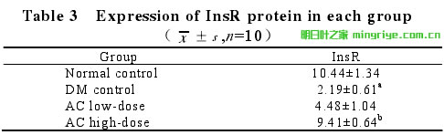 表3 圖2 肝細胞 Ins R 蛋白的表達水平