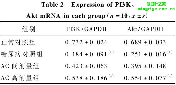 表 2 各組 PI3K 和 Akt m RNA 表達水平