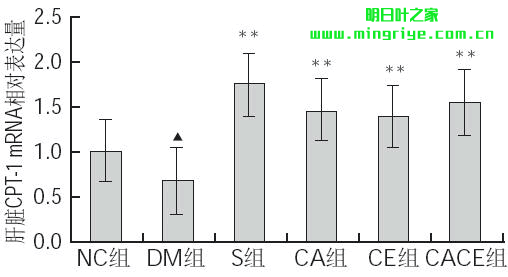 圖 3 各組大鼠肝臟CPT-1 mRNA相對表達量