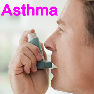 明日葉如何治療哮喘？