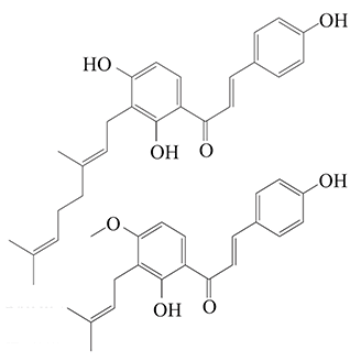 HPLC-PDA法測定明日葉不同部位中的4-羥基德里辛和黃色當歸醇含量